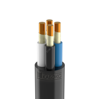 Кабель ВВГнг(А)-FRLS 4х4 ОК (N) 0.66кВ (м) ТХМ00373480 Кабэкс pe588327 фото