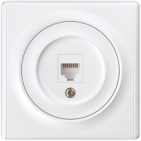 Розетка компьютерная 1-м СП Florence RJ45 кат.5E механизм бел. (1E20701300) 2172770 OneKeyElectro pe587062 фото
