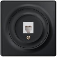 Розетка компьютерная 1-м СП Florence RJ45 кат.5E механизм черн. (1E20701303) 2172816 OneKeyElectro pe587064 фото