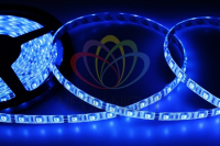Лента светодиодная 12В, SMD5050, 14,4Вт/м, 60 LED/м, синий, 10мм, 5м, IP65 141-493 Lamper pe740927 фото