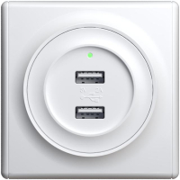 Розетка USB 2-м СП Florence 16А IP20 с подсветкой механизм бел. (1E10351300) 2260089 OneKeyElectro pe587073 фото