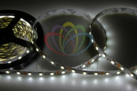Лента светодиодная 12В, SMD5050, 14,4Вт/м, 60 LED/м, 6500K, 10мм, 5м, IP20 141-465 Lamper pe765529 фото