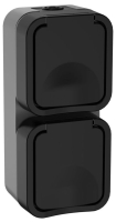 Розетка 2-м ОП TORS 16А IP55 TS132 вертик. с заземл. с крышкой графит TS-R26-16-55-V-K53 IEK pe679771 фото