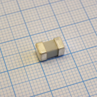 160000.1,25 T  250 V 1.25 A 4,5x8 mm GSMB Ceramic SIBA pe49768 фото