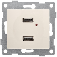 Розетка USB 2-м СП Bravo механизм беж. С10USB2-003 GUSI pe765034 фото