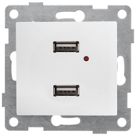 Розетка USB 2-м СП Bravo механизм бел. С10USB2-001 GUSI pe765051 фото