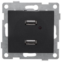Розетка USB 2-м СП Bravo механизм графит С10USB2-010 GUSI pe765052 фото