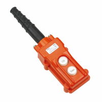 Пульт кнопочный NP3-1 на 2 кнопки IP65 586051 CHINT pe748158 фото