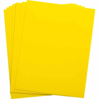 brd29863 Этикетка ELAT-28-747-YL brd29863 BRADY pe2128263 фото