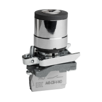 Переключатель OptiSignal D22 C4-SK-21 с ключем 2 положения металл 1НО XB4BG21 332170 КЭАЗ pe657299 фото