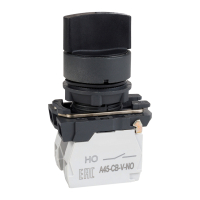 Переключатель OptiSignal D22 C5-S-21 2 положения пластик 1НО XB5AD21 (14шт) 332183 КЭАЗ pe657301 фото