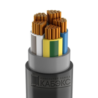 Кабель ВВГнг(А)-LSLTx 5х95 МС (N PE) 1кВ (м) ТХМ00344278 Кабэкс pe576684 фото