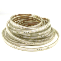 LED-лента 5050 RGB/30 чипов/1м/220V/IP68 Ecola pe150449 фото