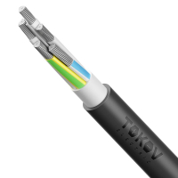 Кабель TOKOV ELECTRIC АВВГнг(А)-LS 5х70 МС (N PE) 1кВ (м) УТ000030803 TOKOV ELECTRIC pe1067443 фото