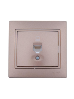 Розетка компьютерная 1-м СП Mira RJ45 16А IP20 со вставкой свет. корич. перламутр. 701-3131-139 Lezard pe663743 фото