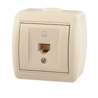 Розетка компьютерная 1-м ОП Nata RJ45 16А IP20 крем. 710-0300-139 Lezard pe663748 фото