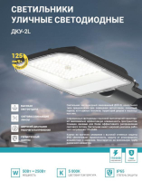 Светильник уличный линзованный светодиодный ДКУ-2L 70Вт 230В 5000К 8750лм 125лм/Вт 42-48мм IP65 NEOX 4690612057088 NEOX pe1058245 фото
