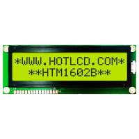 HTM1602B-01Y-T5P 12H HOTLCD pe850906 фото