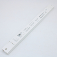 LV150W24CG2 Преобразователь AC-DC, 150Вт, IP20, вход 176…264В AC, 47…63Гц/175…280В DC, выход 24В/0…6.25А, изоляция 3000В AC, пластиковый корпус + компаунд 350х30х18мм, -25…+45°С KGP pe857065 фото