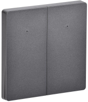 ITEQ SMART-выключатель 2-кл. 16А с нейтр. WIFI+BLE сер. IT-SM2NWBI-K03 ONI pe706795 фото