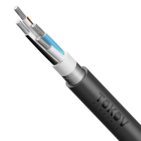 Кабель TOKOV ELECTRIC АВБШвнг(А) 4х50 МК (N) 0.66кВ (м) 00-00072448 TOKOV ELECTRIC pe1067501 фото