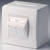Коробка PDD-N60 с 2 розетками Brava RJ45 кат.5E (телефон/компьютер) бел. 10656 DKC pe660977 фото