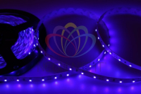 Лента светодиодная 12В, SMD2835, 4,8Вт/м, 60 LED/м, синий, 8мм, 5м, IP20 141-333 Lamper pe719092 фото