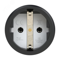Розетка каб 16A/250V/2P+E/IP20 корпус черный, маркер черный 00-00026218 ALPENBOX pe812030 фото