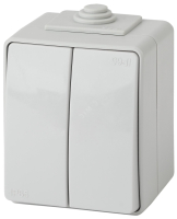 11-1606-03 Переключатель двойной IP65, 10АХ-250В, ОУ, Эксперт, серый (10/100/1600) Б0035979 Эра pe729533 фото
