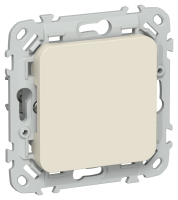 FLITE Заглушка с суппортом ЗГ-ФлСл сл IEK FI-PL10-K86 фото