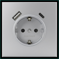 Jasmart FD Алюминий Розетка с/з со шторками 16A c USB A+C 25W FD5501USB-25PAL фото
