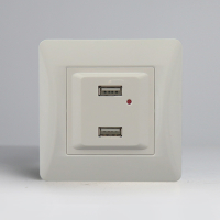 Розетка 2xUSB A, 125-250V (белый) 201006 фото