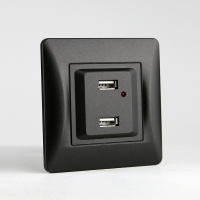Розетка 2xUSB A, 125-250V (антрацит) 201026 фото