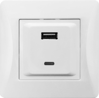 Розетка 2xUSB A/C, 125-250V (белый) 201007 фото
