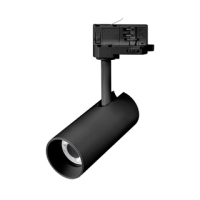 Светильник LGD-SILMA-4TR-R55-4W Warm3000 (BK, 4 deg, 230V) (IP20 Металл, 5 лет) 060465 фото