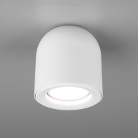 Elektrostandard DLN116 GU10 / Светильник накладной белый a050672 фото
