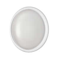 7776/DLN PALE SN 110 Светильник пластик/белый LED 48Вт 3000/4000/6000К D400 IP43 CCT JOLLY 7776/DLN фото