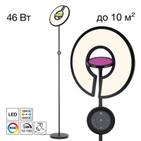CL810031 LOONG RGB Черный Торшер CL810031 фото