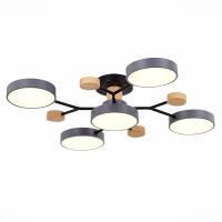 Evoluce SLE6006-702-05 Светильник потолочный Серый/Серый LED 5*12W 3000K/4500K/6000K SLE6006-702-05 фото