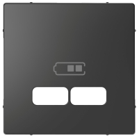 Schneider Electric Merten D-Life Антрацит Накладка центральная для USB механизма 2,1А MTN4367-6034 фото