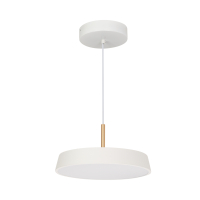 Светильник SP-ELEGANT-R300-17W Warm3000 (WH, 120 deg, 230V) (IP20 Металл, 3 года) 033914(1) фото