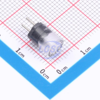 0273.100H Littelfuse pe985259 фото