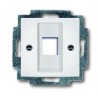 ABB BJB Basic 55 Бел Плата центральная  1-я для коммуникац розеток 0210, 0211 и 0219 2CKA001753A0213 фото