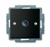 ABB BJB Basic 55 Шато (чёрн) Розетка TV оконечная 2CKA001724A4313 фото