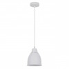 A2054SP-1WH Braccio Подвесной светильник A2054SP-1WH фото
