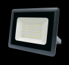 ФАZA (ФАЗА) СДО-10 70w 6500K GR IP65 230V .5032859 фото