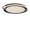 LED Market Черный Потолочный светильник FR10031CL-L98B фото