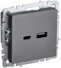 IEK Brite Base сталь розетка USB A+C 18Вт BR-U22-018-K46 фото