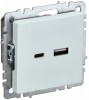 IEK Brite Base жемчуг розетка USB A+C 18Вт BR-U22-018-K36 фото
