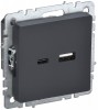 IEK Brite Base графит розетка USB A+C 18Вт BR-U22-018-K53 фото
